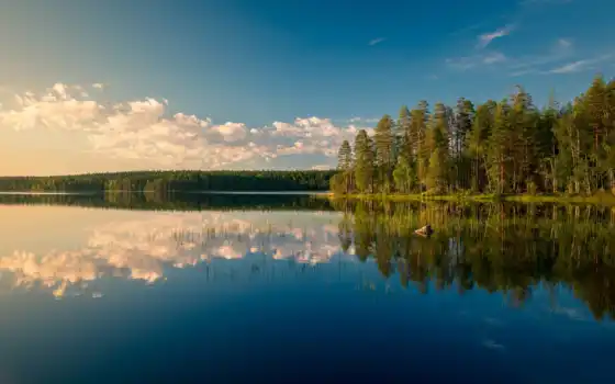 финляндия, озеро, лес