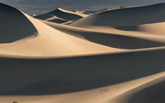 соски, дюн, пустыня