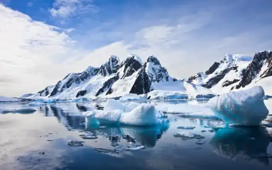 arctic, антарктида, лед
