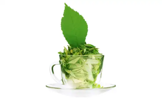 чая, coffee, чая, магазин, листья, stevia, online, интернет, png, market, time, 