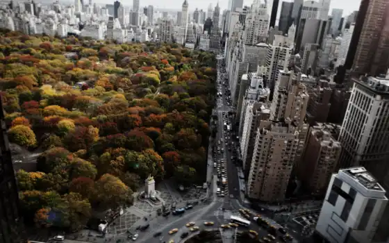 парк, Нью-Йорк, город, с высоты птичьего полета, вид, центральный, США