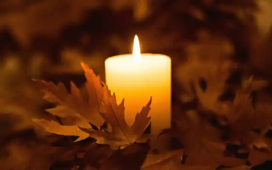 свеча, осень, лист, огонь