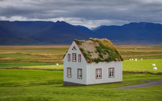 house, трава, гора