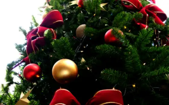 новогодние, год, рождество, дерево, са, کریسمس, натальный,
