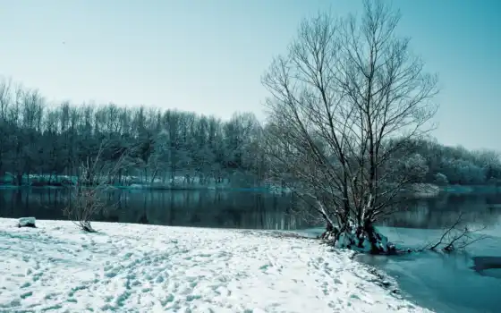 зима, снег, деревья, озеро, картинка, 