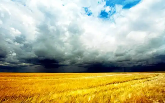 пейзаж, тучи, буря, поле,