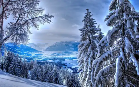 зима, горы, горные деревья, деревья, белые, страницы,