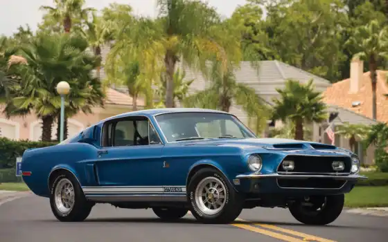 mustang, ford, shelby