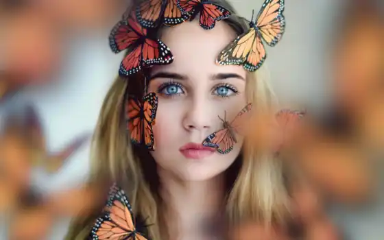 бабочки, натуральные, бабочки, бабочки, фото, класс, бабочки, зоопарк,