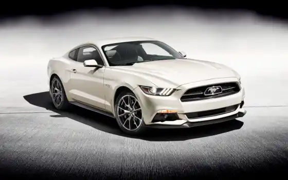 mustang, ford, the need, edition, is, years, build,