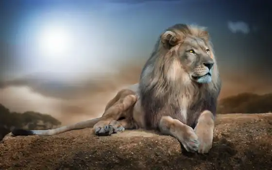 лев, животное