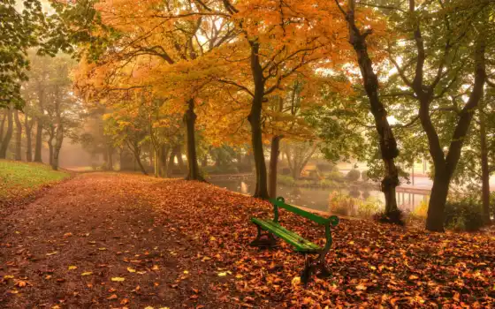 осень, скамейка, листва, парке, природа, листочки, 