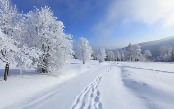снег, зима, пейзаж, небо, природа, деревья, горы, картинка, иней, следы, 