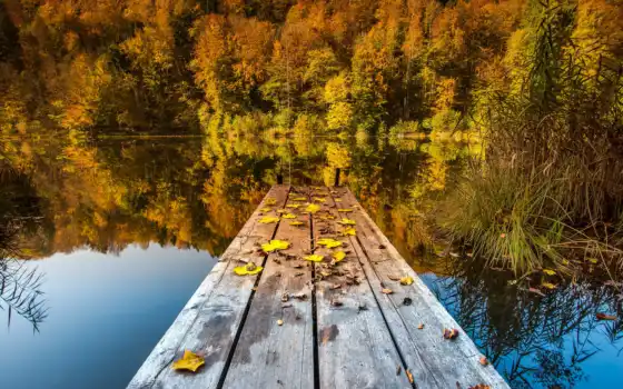 озеро, осень, мост, природа, листья, 