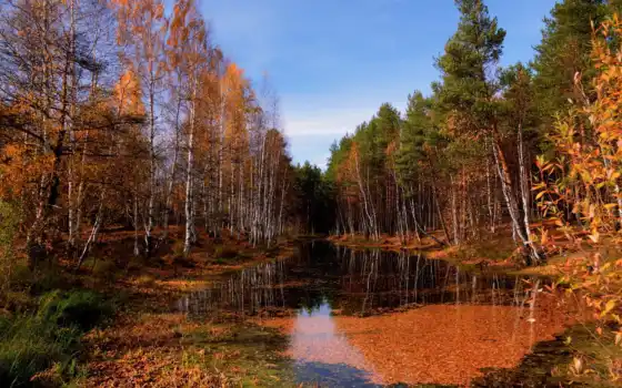 осень, река, лес, пейзаж, краски,