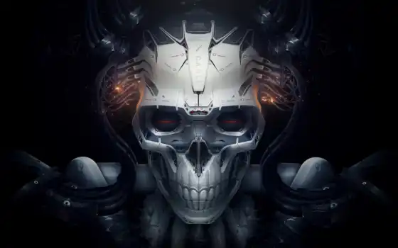 robot, череп, fantasy, чёрное, белое, роботы, id, картинка, spark, cyborg, 