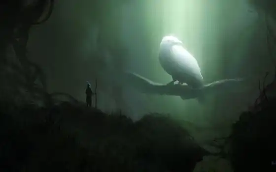 ветвь, ветвь, темнота