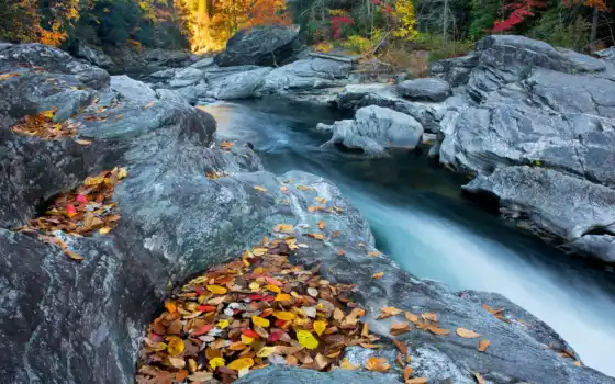 , река, камни, осень, 