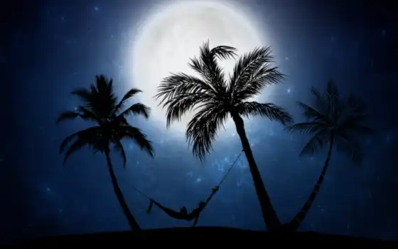 ночь, луна, пляж, devostock, palm, dark, wood, природа