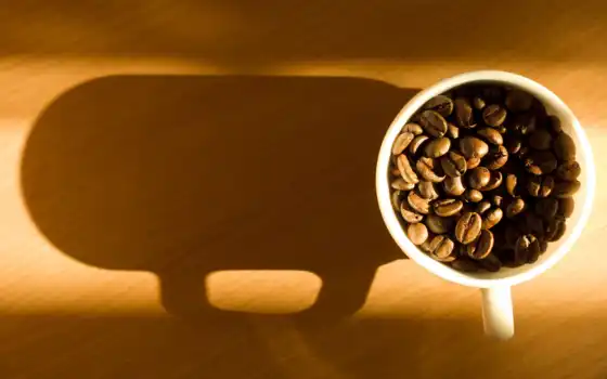 кофе, чашечка, кастинг, семя, ряд, свет, один, иордан, амман