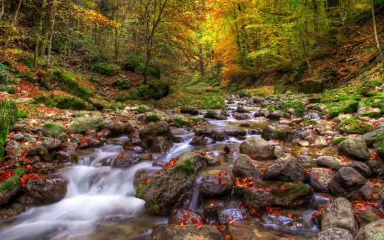 осень, камни, вода, деревья, листья, природа, река, лес, 