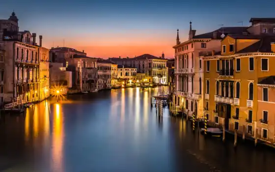 italian, город, canal, venezia, собака