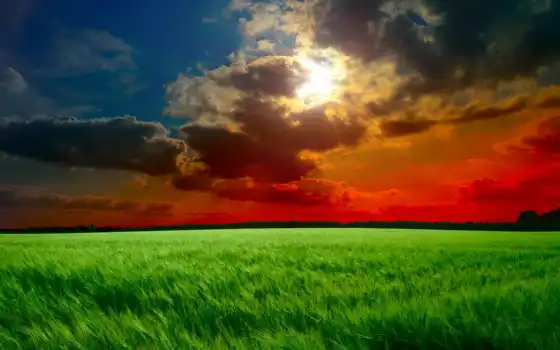 солнце, облака, тучи, заклепка, солнце, лучи, трава,
