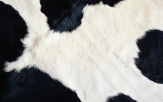 корова