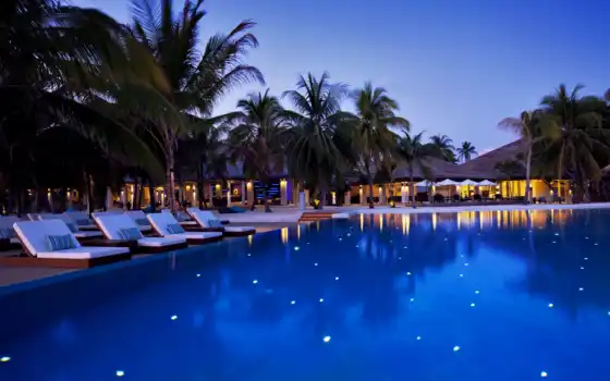 maldives, velassaru, бассейн, отель, шезлонги, юмор, бассейны, пальм,