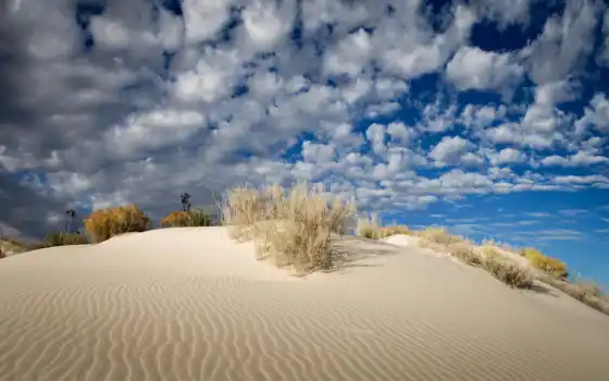пустыня, белый, песок, дюн