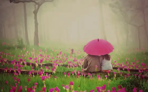 любовь, пара, день, зонтик, романтик, цветы, девулька, шон, розовый, женшина, природа