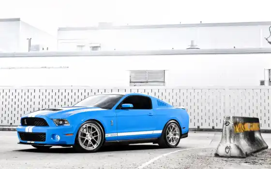 mustang, ford, shelby, cobra, gt 500,