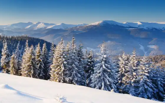 зима, гора, снег, дерево, сон, пик, свобода, окно, природа