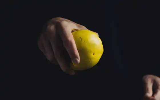 лимон, ремень, плод, плод, аромат, краситель, новый, обои, ме, дизайн, см