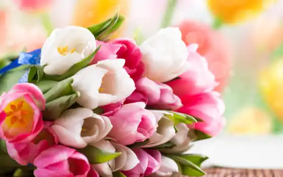 цветы, тюльпаны, букет, весна, розовые, белые, 