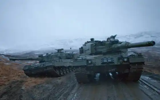 леопард, танк, world, военный, армия, norwegian, норвегия, трава, битва
