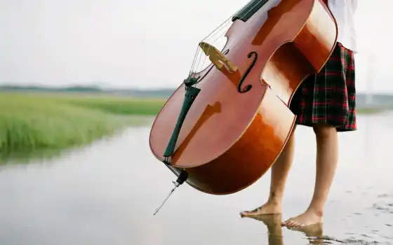 виолончель, натуральные, молявка, загруженные, вода, лучшие, музы
