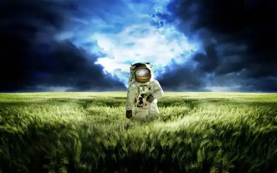 космонавт, поле, пшеница, другой, планете, картинка, 