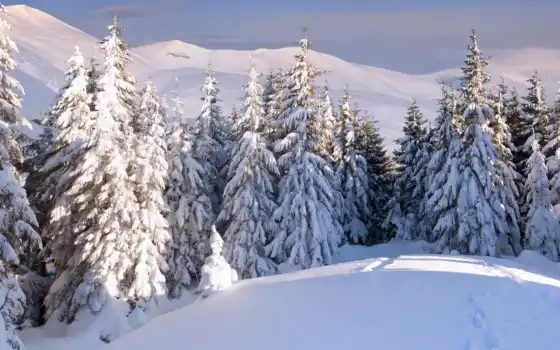 зима, лес, пейзаж, снег, фотообои, уют,