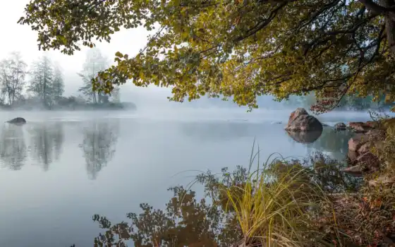 природа, озеро, красивый, лес, туман, яркий, фото, приворот