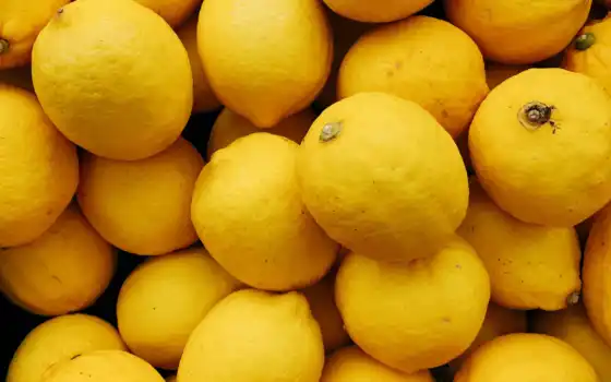 лимон, кислый, плод