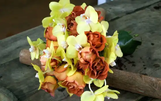 орхидея, букет, цветы