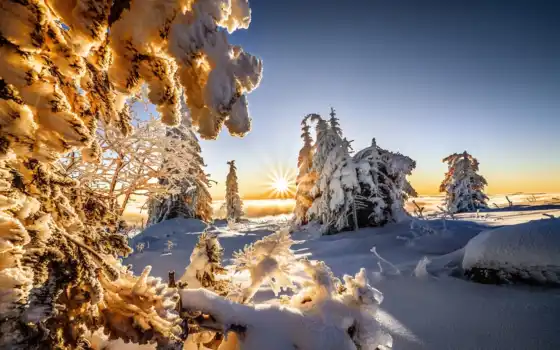 солнце, зима, пейзаж, земля