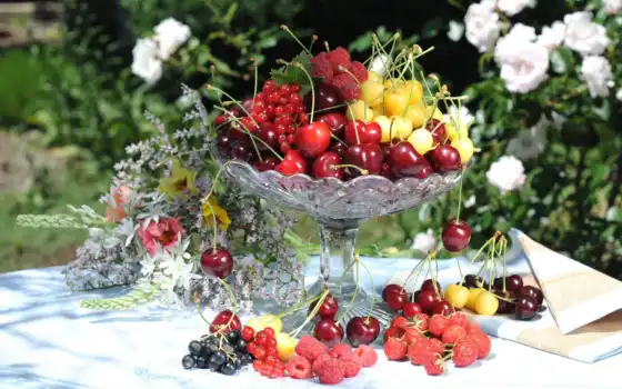 плод, вишня, ягода, большой, на тюрморт, фото