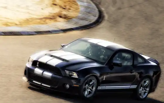 ford, mustang, car, vehiclehi, vehicles, different,