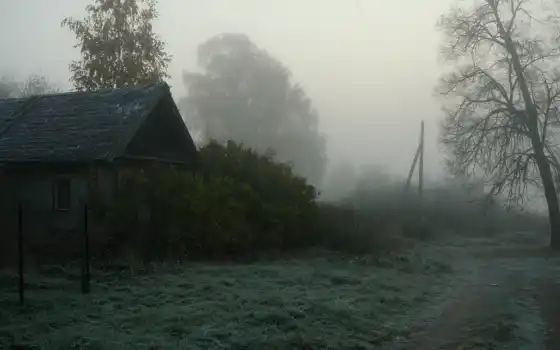 дом, деревня, туман, 