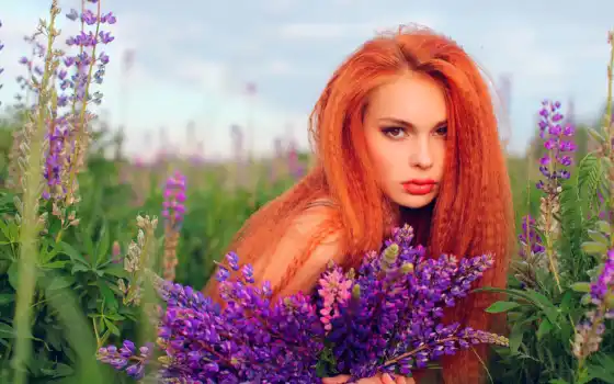 девушка, рыжая, поле, длинноволосая, лаванды, devushki, рыжие, волосы, 