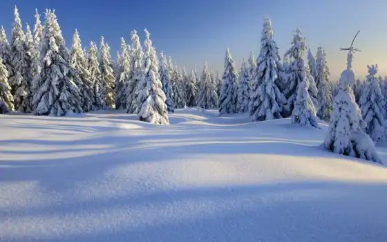 зима, жизнь, деревья, пейзаж, горы,