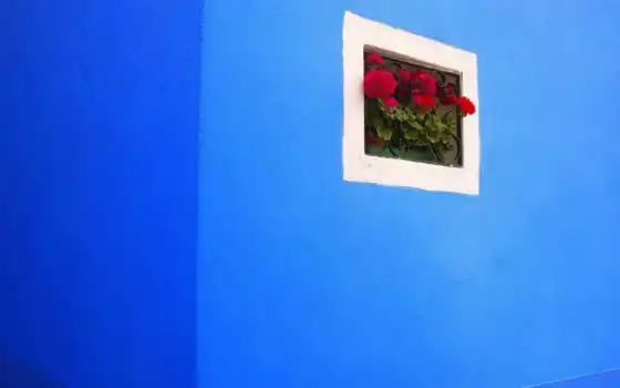 бесплатнообои, шветы, Бурано, Италия, окно, стена