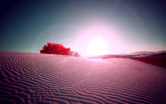 пустыня, песок, солнце, красная,